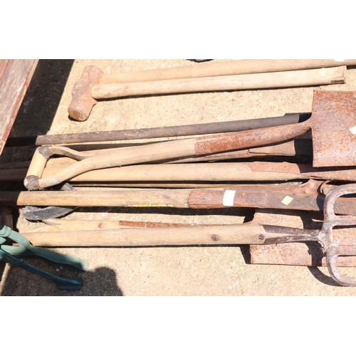 47 - Quantity of various garden tools, including spades, baiting, spade, hooks, etc