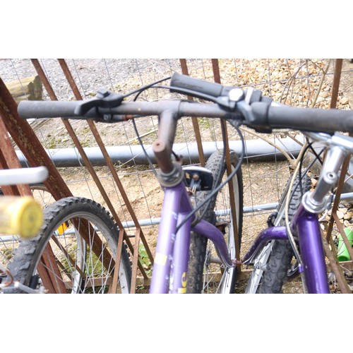 22 - Ladies Pinnacle mountain bike