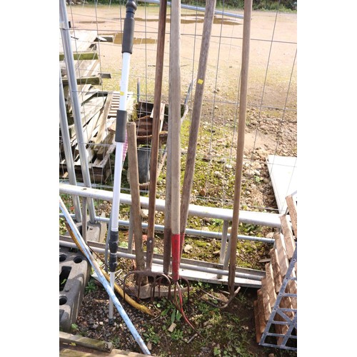 37 - Qty of long handled hay forks Etc