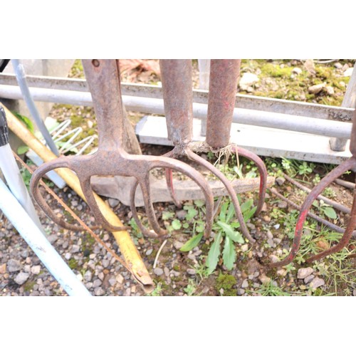 37 - Qty of long handled hay forks Etc