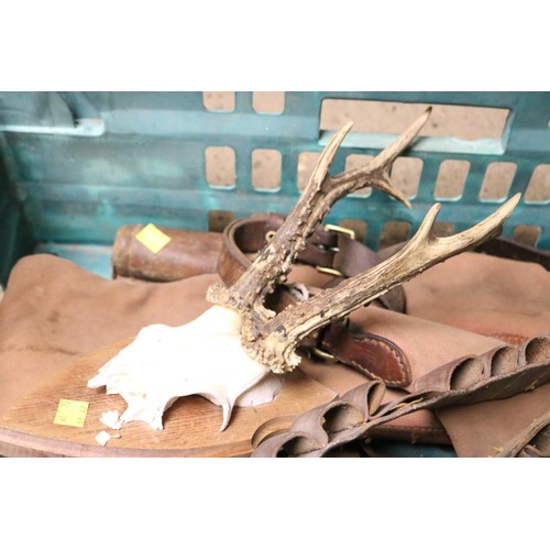 159 - Shotgun/cartridge belts, gun carry case & mounted skull antlers