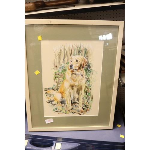 203 - Framed retriever picture, water colour, signed