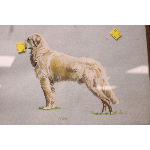 202 - Framed retriever picture