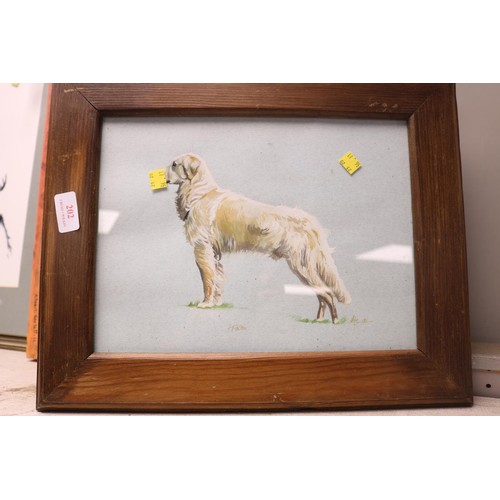 202 - Framed retriever picture