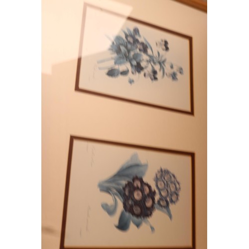 211 - Various framed botanical prints, some signed