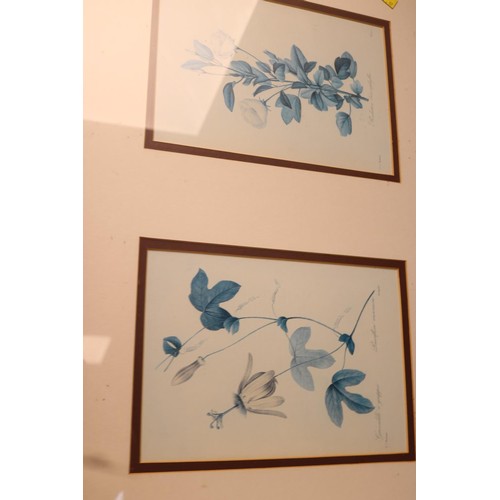 211 - Various framed botanical prints, some signed