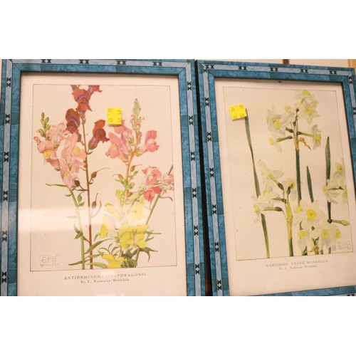 211 - Various framed botanical prints, some signed