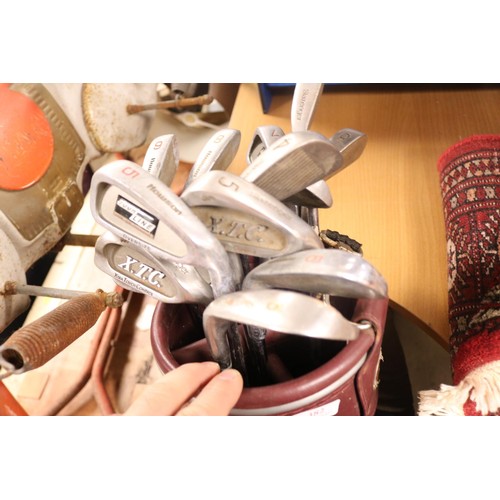 382 - Assorted (15) golf clubs, in golf bag