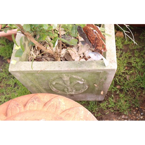 62 - Garden concrete planter with plant