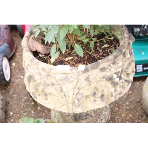 73 - Large stone planter with fuchsia?