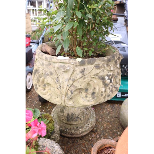 73 - Large stone planter with fuchsia?