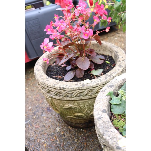 93 - Pair of stone planters small, including plants