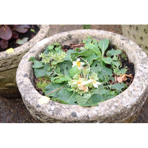 93 - Pair of stone planters small, including plants