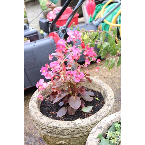 93 - Pair of stone planters small, including plants