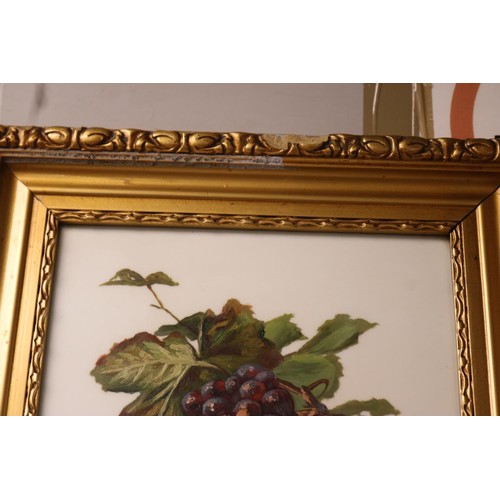 206 - 2 still life oils in gilt frames