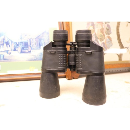 256 - Proteam binoculars