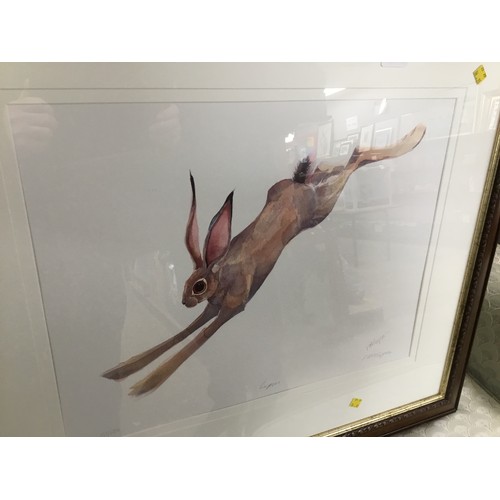 182A - Framed limited edition print 'hare', signed M A Rogers