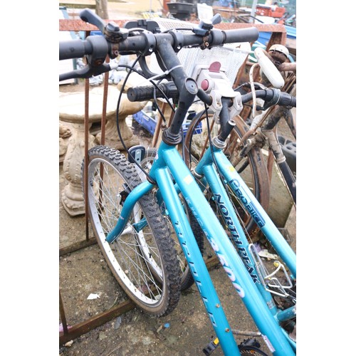 95 - Ladies apollo 3500 bike