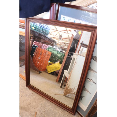 Lot 591       