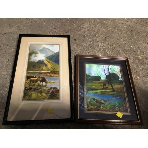 612A - various framed pictures