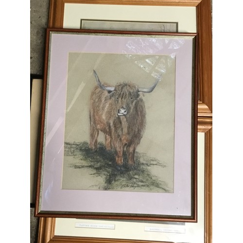 612A - various framed pictures