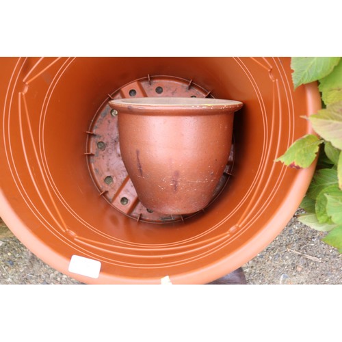 72 - Large plastic planter & pot clay