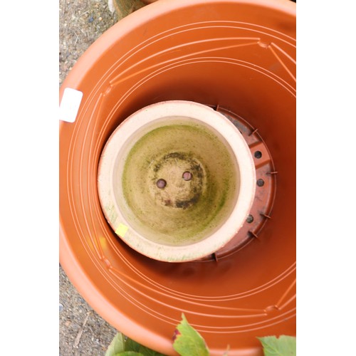 72 - Large plastic planter & pot clay