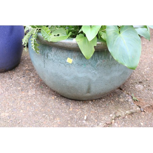 86 - Large glazed planter with lily