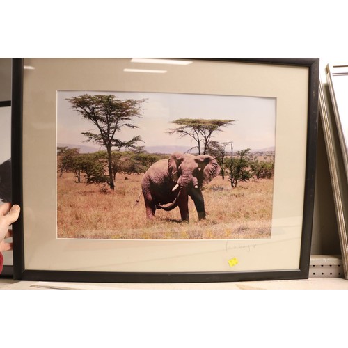 216 - Signed Photo of elephant & 2 x chickens