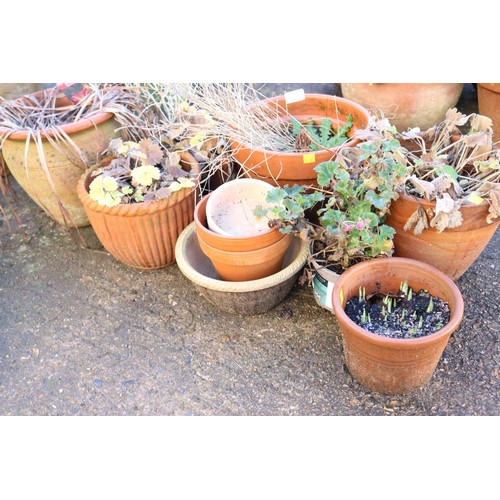 22 - Selection of various small terracotta plant pots etc