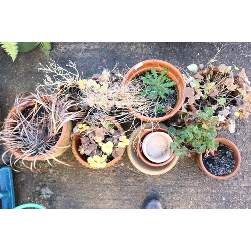 22 - Selection of various small terracotta plant pots etc