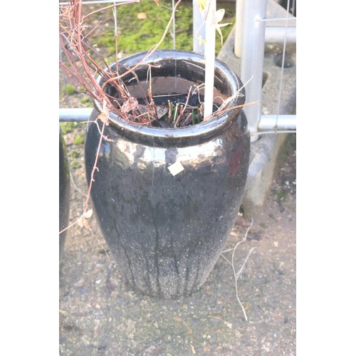 25 - Pair of ornamental plant pots