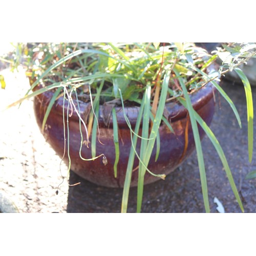 29 - large  round planter