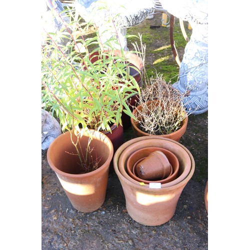 57 - Large quantity of various clay pots