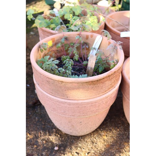 60 - Qty various terracotta pots