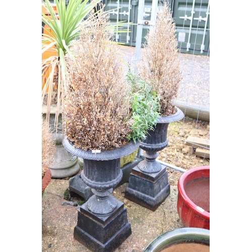 19 - Pair of cast iron urn planters with plants