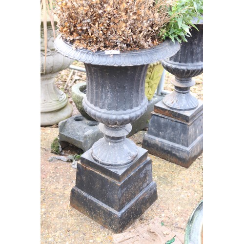 19 - Pair of cast iron urn planters with plants