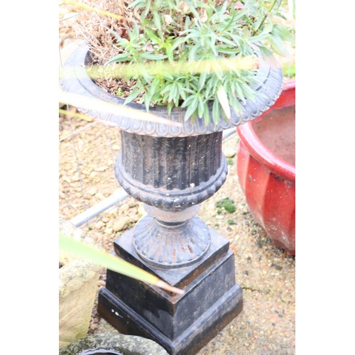 19 - Pair of cast iron urn planters with plants