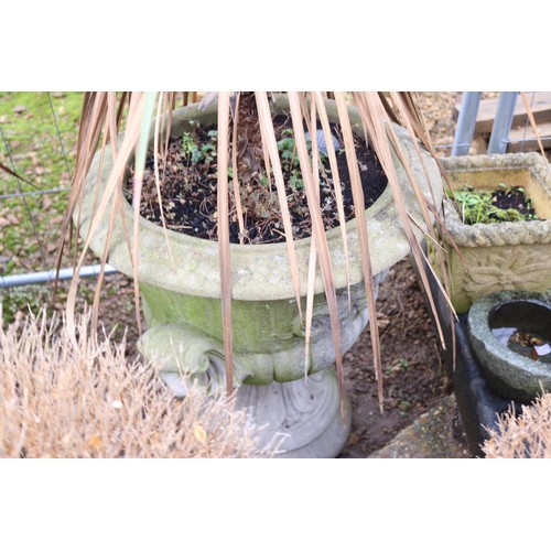 22 - Pair of large urn planters on plinths with 2 palm trees