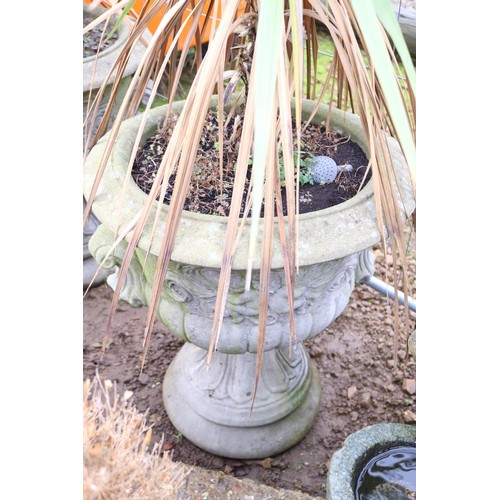 22 - Pair of large urn planters on plinths with 2 palm trees