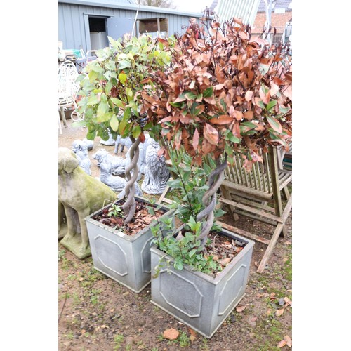 38 - Pair of large square planters with decorative plants