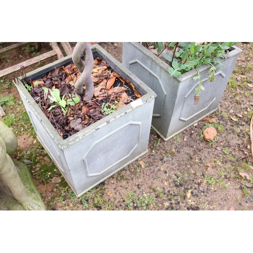 38 - Pair of large square planters with decorative plants