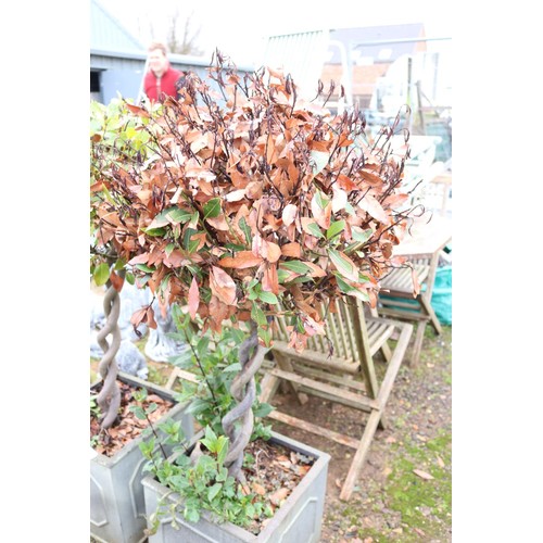 38 - Pair of large square planters with decorative plants