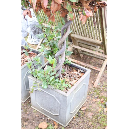 38 - Pair of large square planters with decorative plants