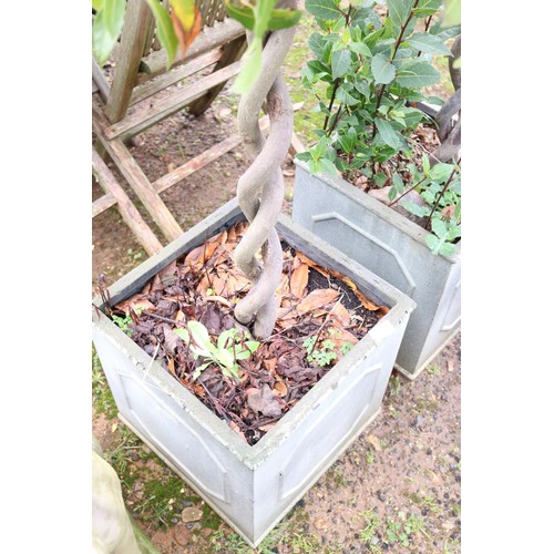 38 - Pair of large square planters with decorative plants