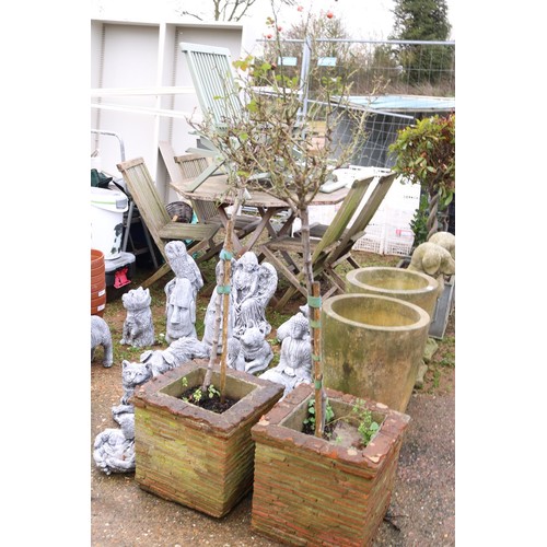 41 - Pair of large brick garden planters and rose bushes