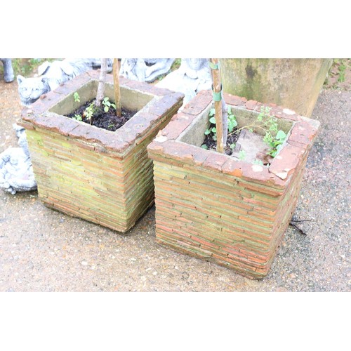 41 - Pair of large brick garden planters and rose bushes