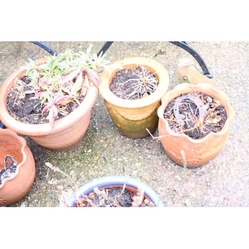 70 - 6 x various garden plant pots