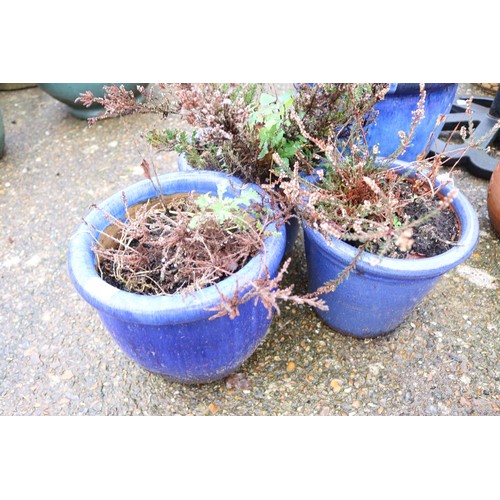 71 - 3 x small blue Garden pots and plants