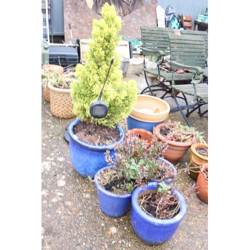 71 - 3 x small blue Garden pots and plants